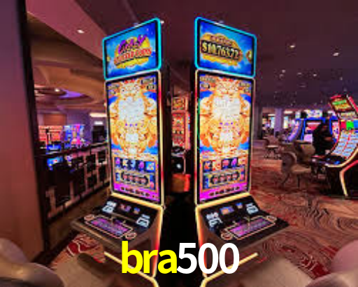 bra500