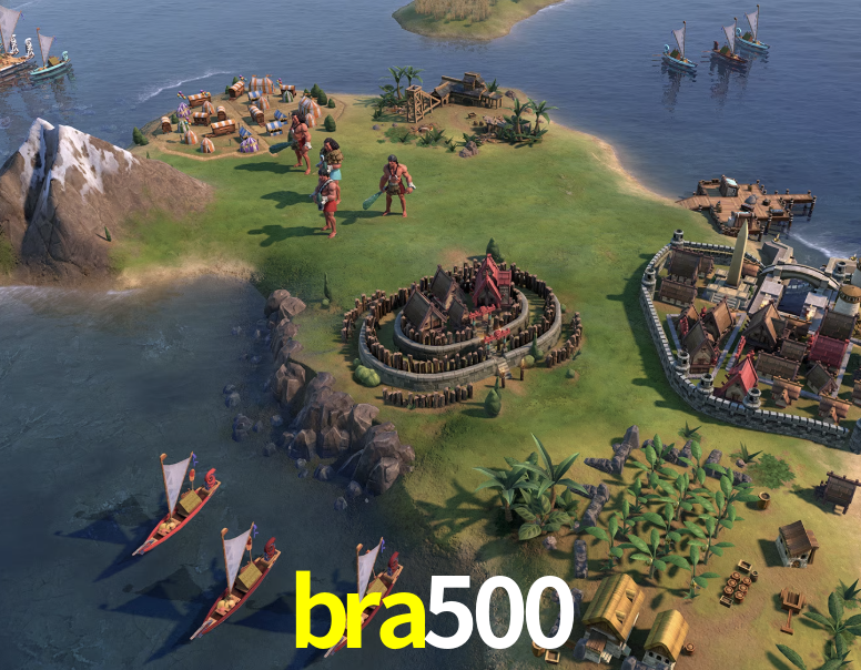 bra500