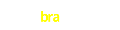 bra500